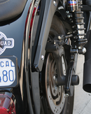 Alloy Art Dyna Strut Lights w/ Three Wire Setup  06-17-4