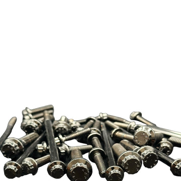 Bamco ARP stainless steel bolts for Harley-Davidson, pile of black-chrome flanged-head bolts on white background