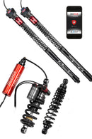 DS KIT (DigiShox)-1
