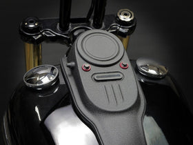 31 STATE - SINGLE SMOOTH COVER PLATE FXDB/FXDWG - 0