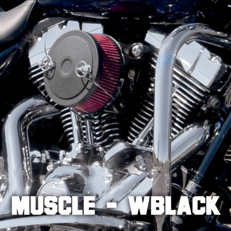 S&S Cycles Stealth Air Cleaner Kit - 01-17 Twin Cam