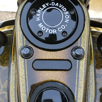 31 STATE - DASH INDICATOR BLOCK-OFF PLATE '12-17 DYNA