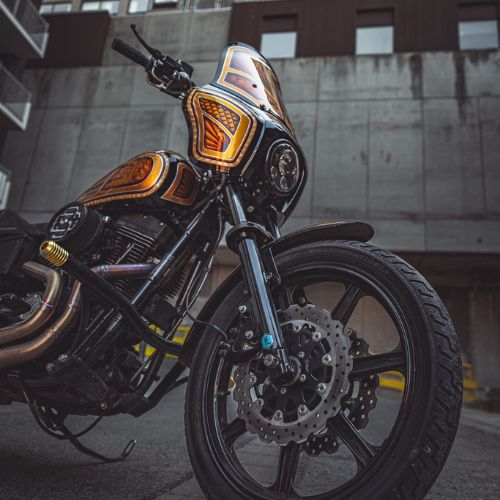 OG Speed 49mm fork brace - motorcycle fork stabilizer
Custom motorcycle front end with OG Speed 49mm fork brace installed