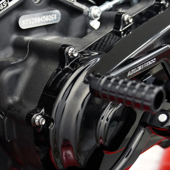 ARLEN NESS Primary Cover Titanium 12-Point Bolt Kits, Polished