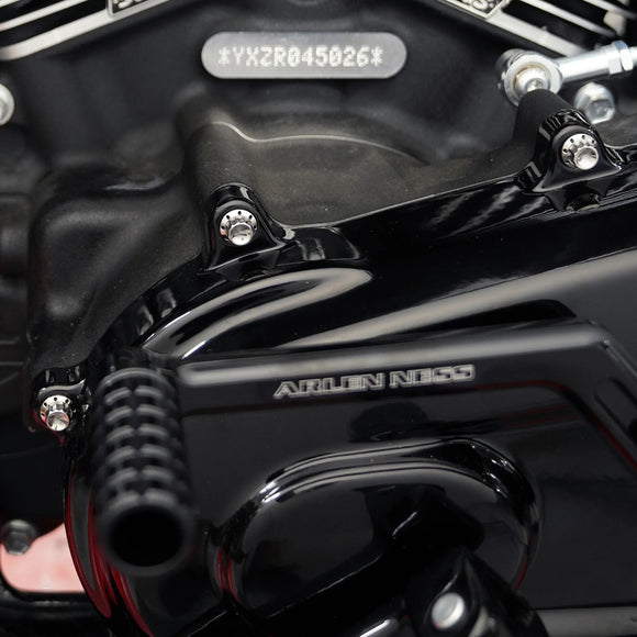 ARLEN NESS Primary Cover Titanium 12-Point Bolt Kits, Polished