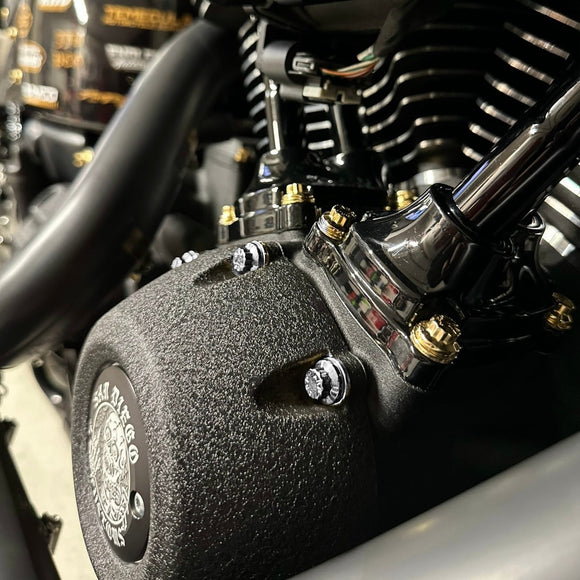 Close-up of Bamco ARP stainless steel bolts (gold and chrome) installed on Harley-Davidson air cleaner cover and pushrod housing
