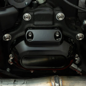 ARLEN NESS Transmission Side Cover & Trap Door Titanium 12-Point Bolt Kits, Polished - 0