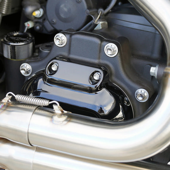 ARLEN NESS Transmission Side Cover & Trap Door Titanium 12-Point Bolt Kits, Polished