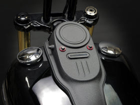 31 STATE - SINGLE SMOOTH COVER PLATE FXDB/FXDWG