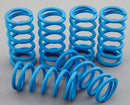 EVOLUTION INDUSTRIES - REPLACEMENT COIL SPRINGS-3