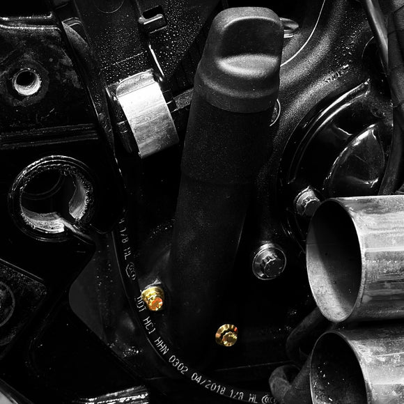 Two gold-plated BAMCO ARP M8 stainless steel bolts installed at Harley-Davidson Softail oil fill