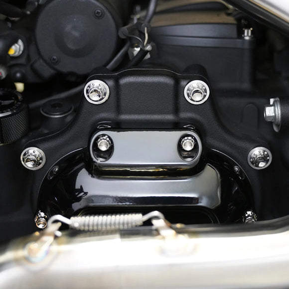 ARLEN NESS Transmission Side Cover & Trap Door Titanium 12-Point Bolt Kits, Polished