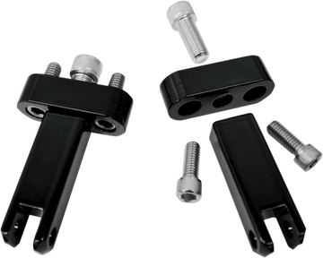 BAGGER PASSENGER PEG MOUNTS