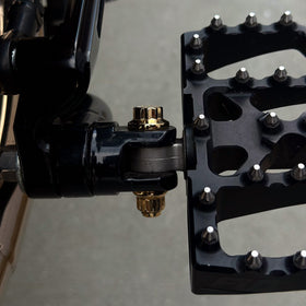 BAMCO ARP Footpeg Bolt Kit, ARP stainless steel 12 point bolts for Harley-Davidson Harley