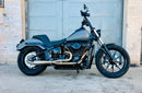 FXR DIVISION 18+ SOFTAIL NARROW CRASH BAR-5