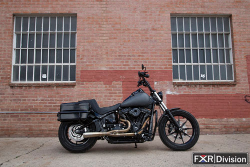 FXR DIVISION DIRECT MOUNT FXRP BAG RAILS FOR SOFTAIL