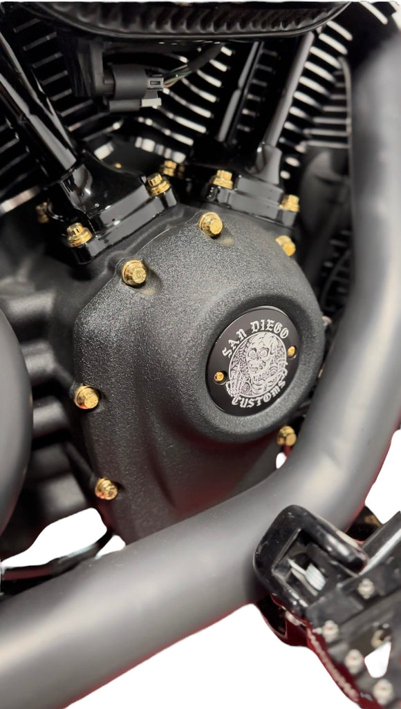 Bamco ARP stainless steel M8 gold‑plated bolts and washers installed on Harley‑Davidson cam cover